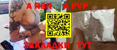 кокс Кингисепп