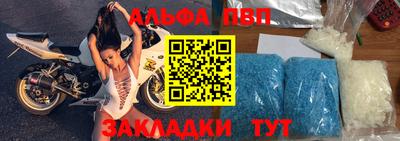 кокс Кингисепп