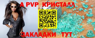 кокс Кингисепп