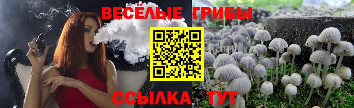 Псилоцибиновые грибы ЛСД Тула